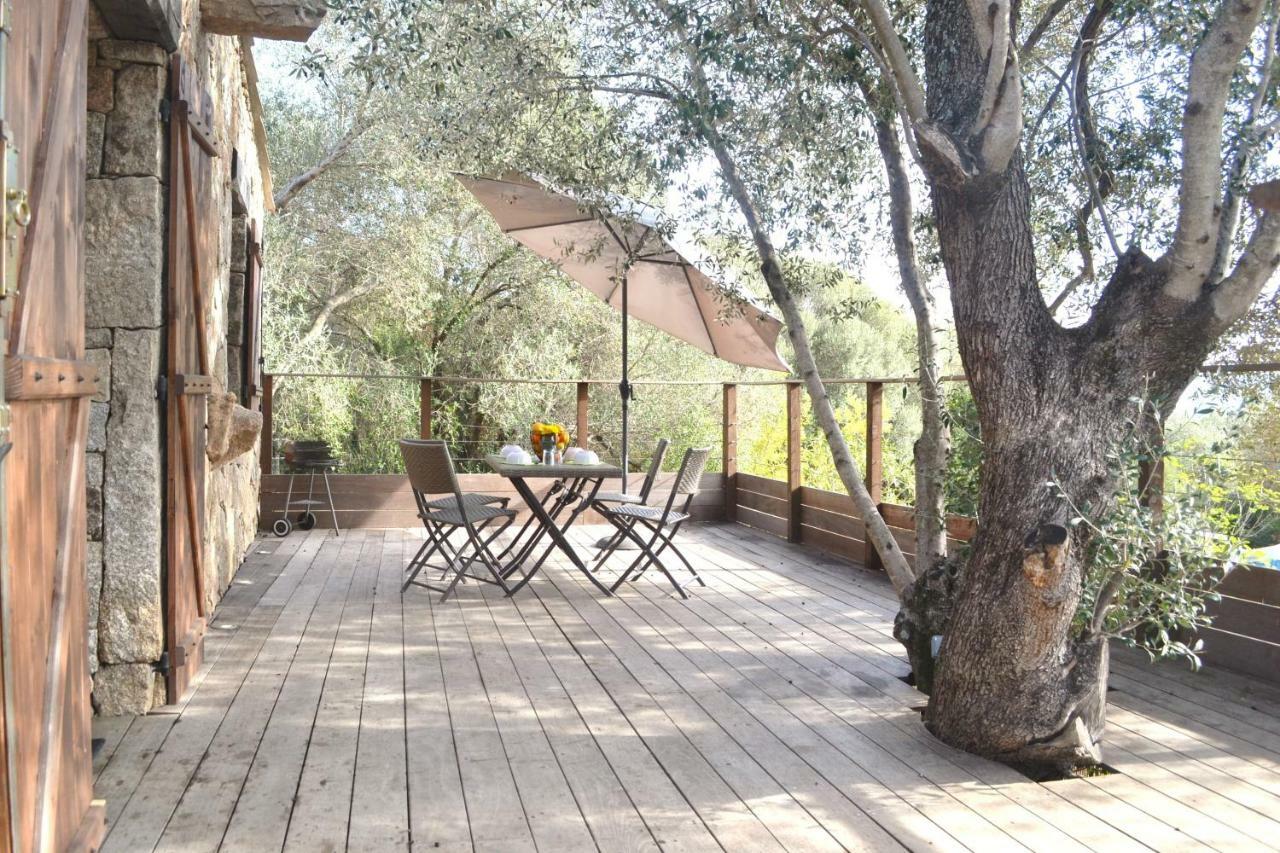 Les Bergeries De Petralonga Holiday home Sotta